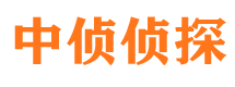 南岳市侦探调查公司